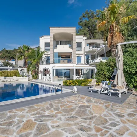 Panorama Mansion Villa *