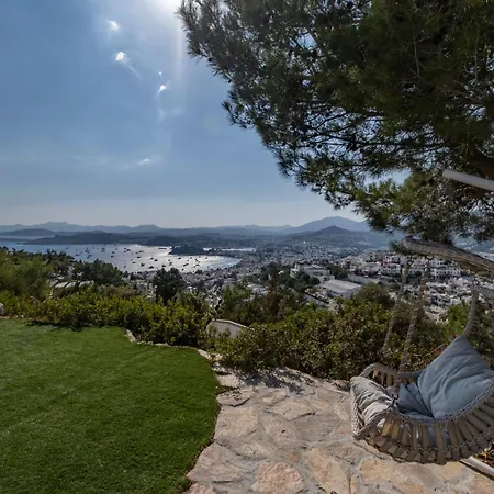 Villa Panorama Mansion *