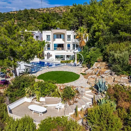 Panorama Mansion Villa