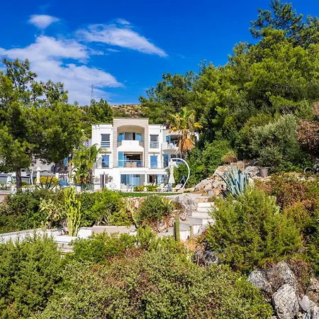 Panorama Mansion Villa *