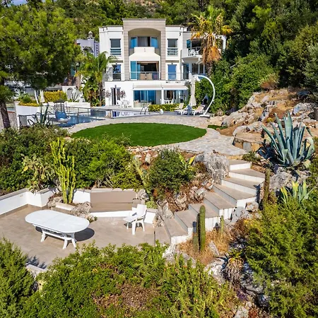 Panorama Mansion Villa