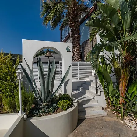 Villa Panorama Mansion